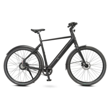 BixBi RAE, mat zwart (375Wh)