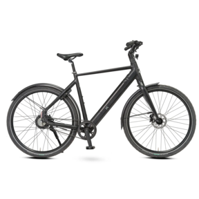 BixBi RAE, mat zwart (375Wh)