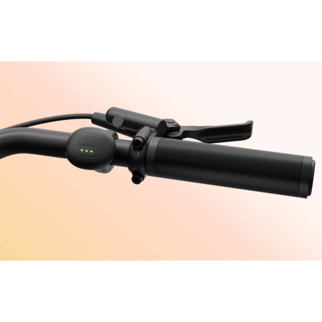 Tenways CGO 009 - dé e-bike voor de stad.