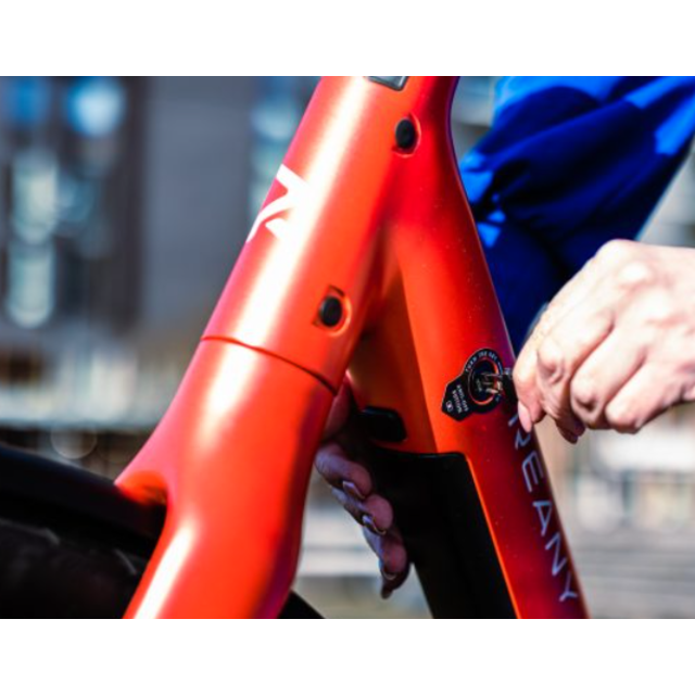 REANY Bike N1 - De lichtste e-bike in de Benelux REANY Bike N1 - De lichtste e-bike in de Benelux