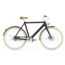Watt Watt Dublin - elektrische fiets - model 2025