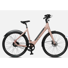 BIXBI Fae - Coral - 2025