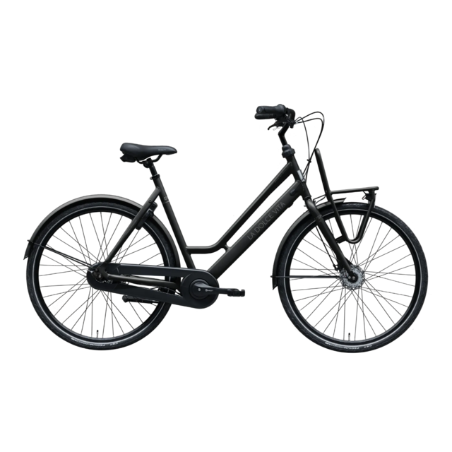 BSP LDV Special - stadsfiets