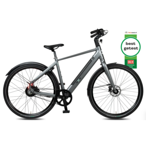 BixBi RAE, grijs (375Wh)