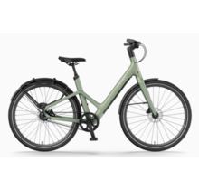 Reany W1 GT - (uni size 160-190cm)