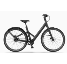 Reany W1 GT - (uni size 160-190cm) - 2025