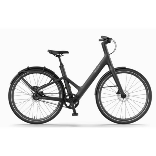 Reany W1 GT - (uni size 160-190cm)