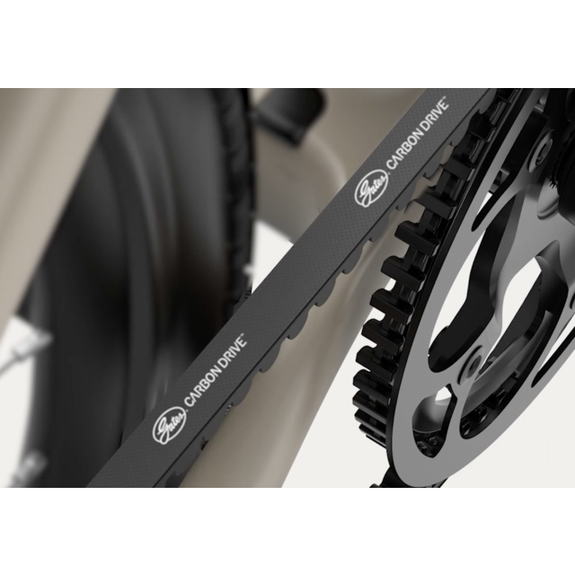 Reany W1 GT - (uni size 160-190cm) - 2025