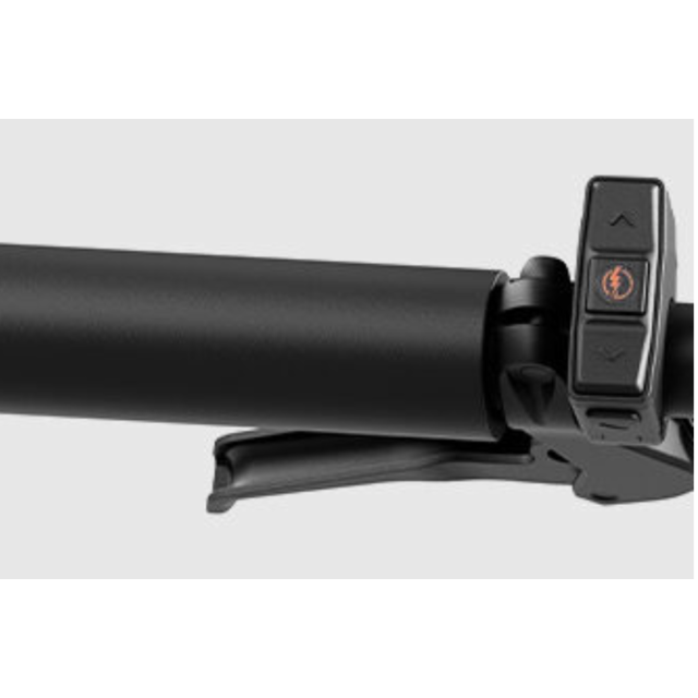 Reany W1 GT - (uni size 160-190cm) - 2025