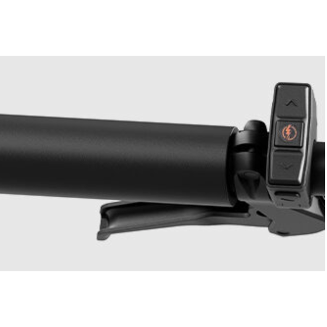 Reany W1 GT - (uni size 160-190cm)