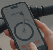 Reany W1 GT - (uni size 160-190cm) - 2025