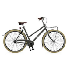 Azor Schoolfiets Heren Grijs 2025