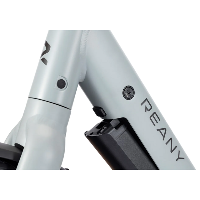 Reany V1 Vivo