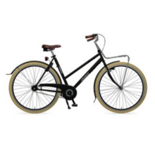 Azor - degelijke en betrouwbare stadsfiets