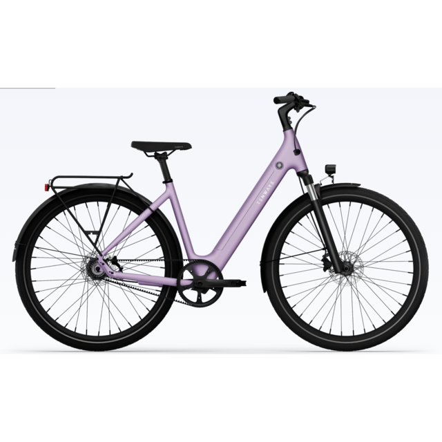 Tenways CGO 800s -  voor moeiteloos woon-werkverkeer.