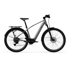 Tenways AGO X Special Edition - 560 Wh
