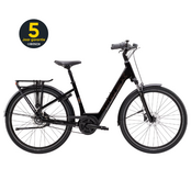 TREK District+ 2 Belt Lowstep