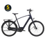 TREK TREK District+ 1  (400Wh) + 5 jaar garantie