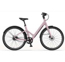 Reany W1 e-bike (160-190cm)