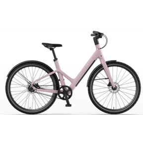 Reany W1 Dusty Blush 2026