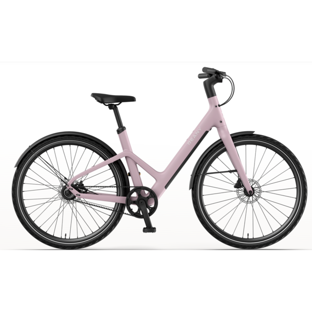 Reany W1 e-bike (160-190cm)