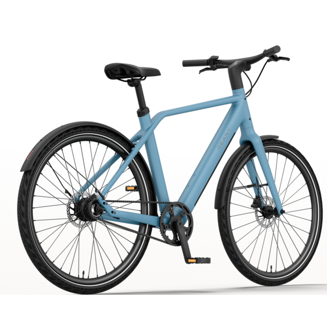 Reany N1 e-bike - 170-200cm