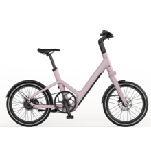Reany C1 Lage instap Vintage Roze 40cm 2026