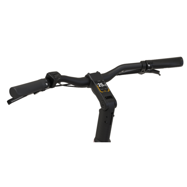 Reany C1 compact e-bike - (ca. 155–190 cm)