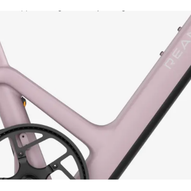 Reany C1 compact e-bike - (ca. 155–190 cm)