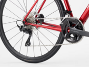 Trek Domane AL 5 | Endurance Racefiets