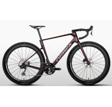Orbea Terra Race M20LTD | Carbon Gravelbike