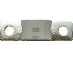 Victron Zekering 100A MEGA - 80V