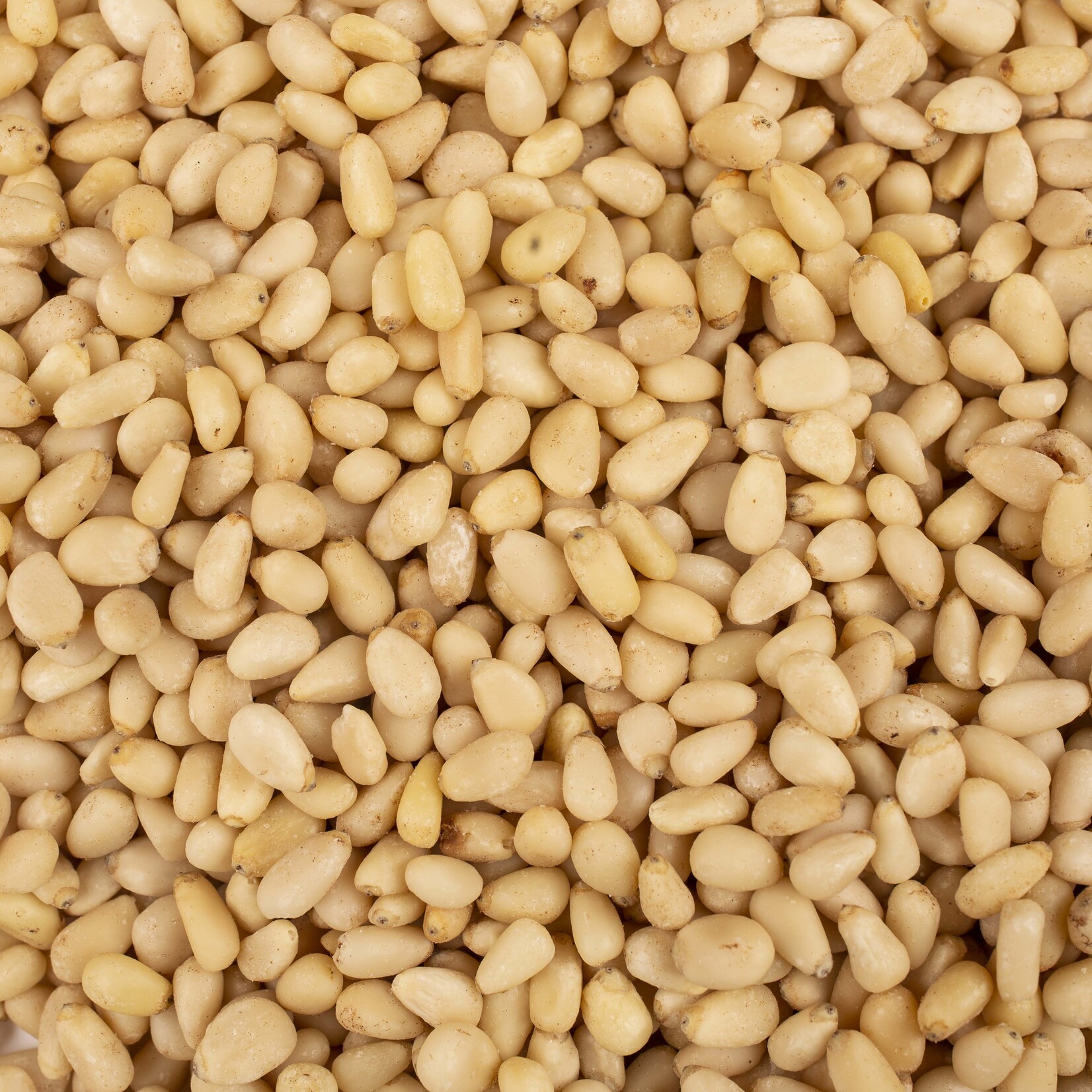 Pijnboompitten