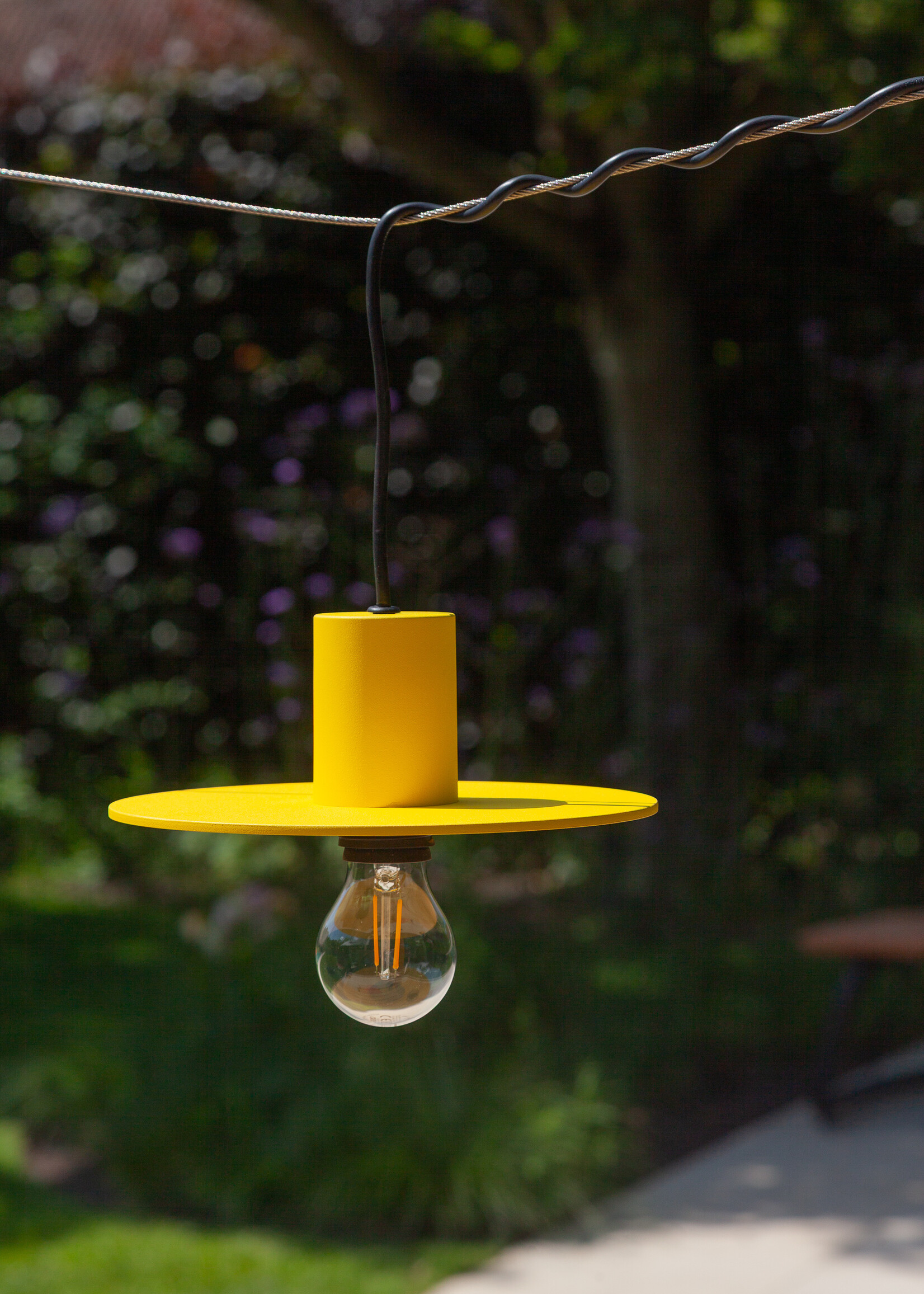 The Disc | Fixture only