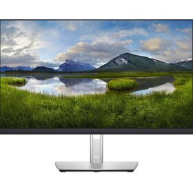 Dell 24" monitor
