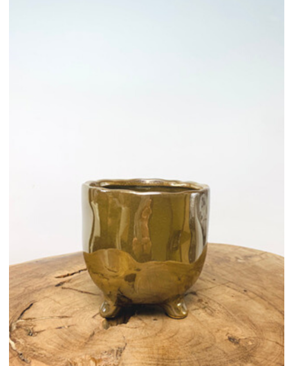 Pot Elly 'Shiny Gold' | 8,5cm