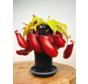 Bekerplant "Bloody Mary" - groot | ø 12 cm x ↕ 25 cm