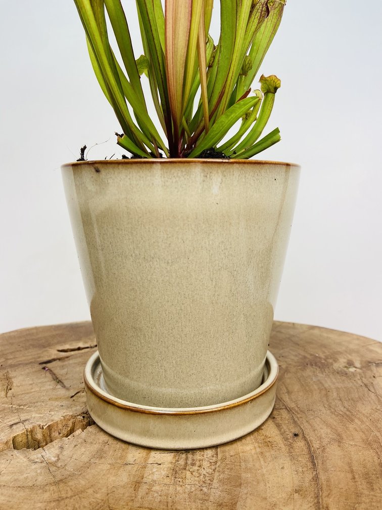 Plantenpot "Saartje" | 8,5cm