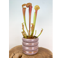 Plantenpot "Bea" - Lila - Groot | 12cm