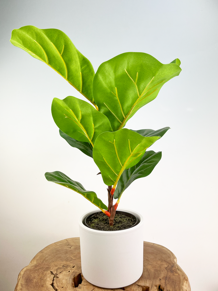 ACTIEPRIJS - Mica bloempot Era "lichtgrijs" | 13x15 cm