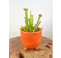Plantenpot "Elly" - Mat oranje |  8,5cm