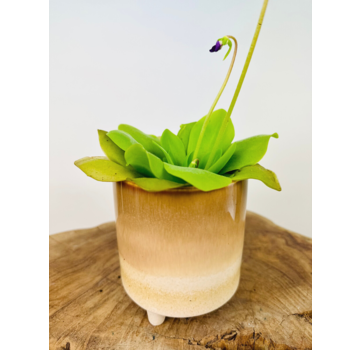Plantenpot "Huub" - Bruin | 8,5cm