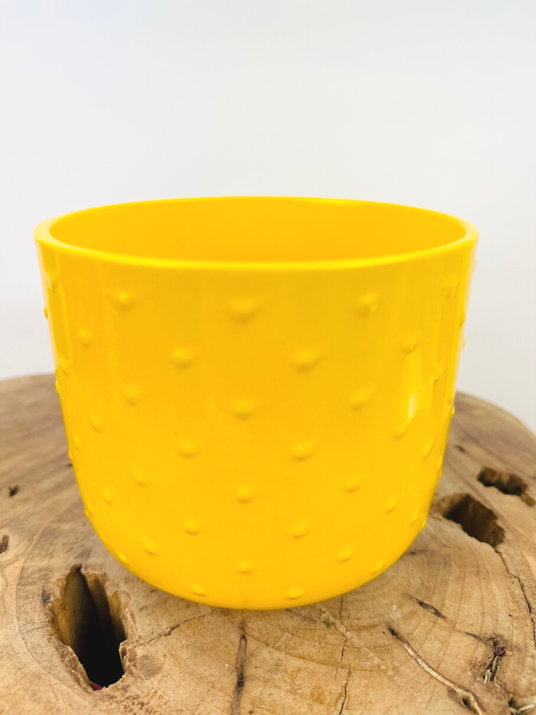 Plantenpot "Rex" - yellow | 12cm