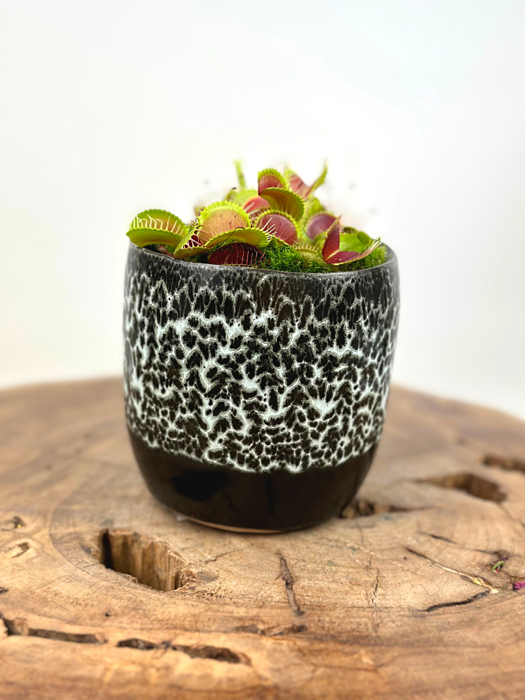 Plantenpot "Nel" - Zwart/wit | 8,5cm