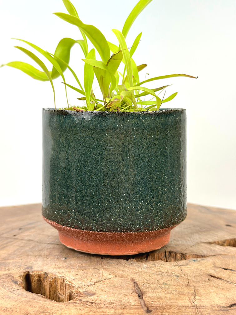 Plantenpot "Frits" - Groen | 8,5cm