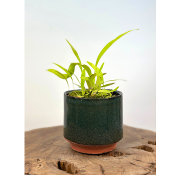 Plantenpot "Frits" - Groen | 8,5cm