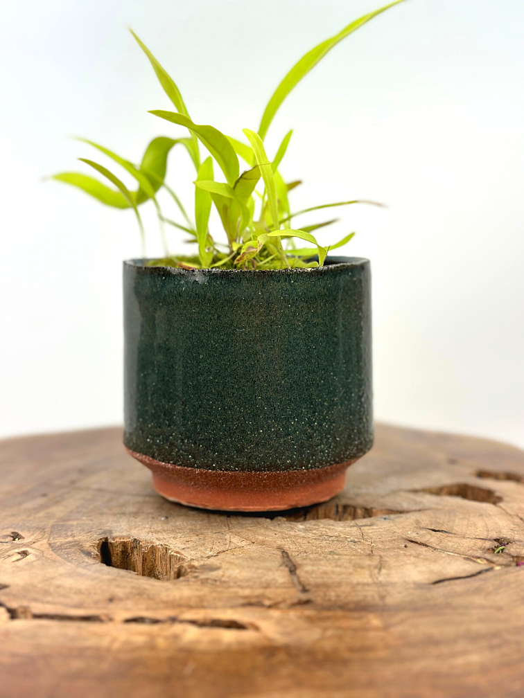 Plantenpot "Frits" - Groen | 8,5cm