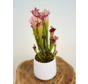 Plantenpot "Amazone" - wit | 12cm