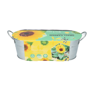 Buzzy® Small Garden "Happy Sunflower" (giftbox)