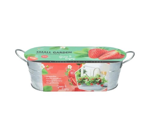 Buzzy® Small Garden "Sweet Strawberry" (giftbox)